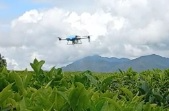PT ARIA AGRI INDONESIA - Jasa Drone Spraying + Akomodasi dan Makan + PPN 11 %