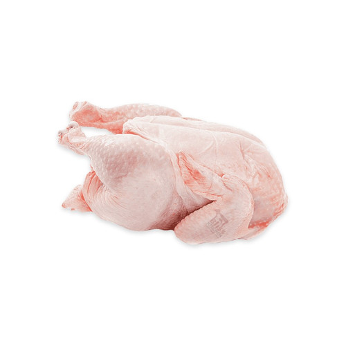 PT Tastiva Kreatif Indonesia - Ayam broiler 1.2 - 1.3 kg