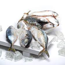 BAGUS BARUNO MANDIRI - Ikan kembung banjar 1kg