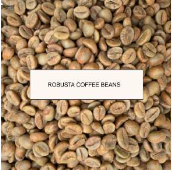 PT ANDALAN EKSPOR INDONESIA - Java Green Bean Coffee Robusta Natural