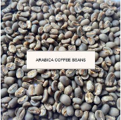PT ANDALAN EKSPOR INDONESIA - Java Preanger Green Bean Coffee Arabica Full-Wash