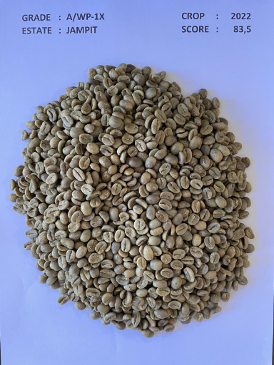 PT Perkebunan Nusantara XII - Java Coffee - Jampit