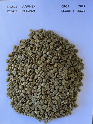 PT Perkebunan Nusantara XII - Java Coffee - Blawan