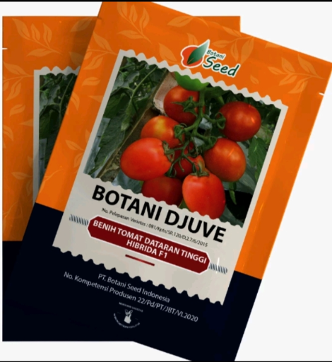PT. Botani Seed Indonesia - Benih Tomat Botani Djuve isi, 1 gram